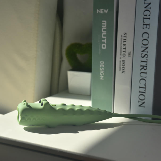 Taschenlampe