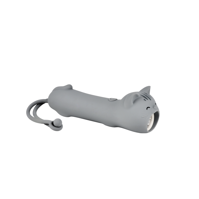 Taschenlampe