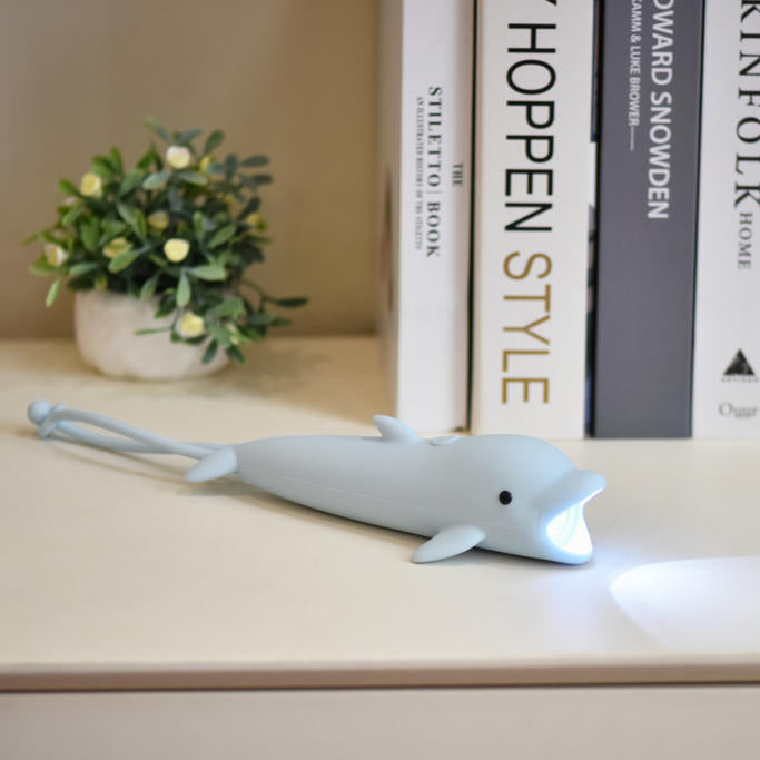 Taschenlampe