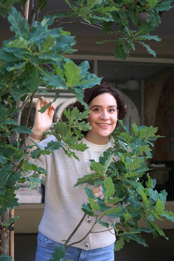 Cristina