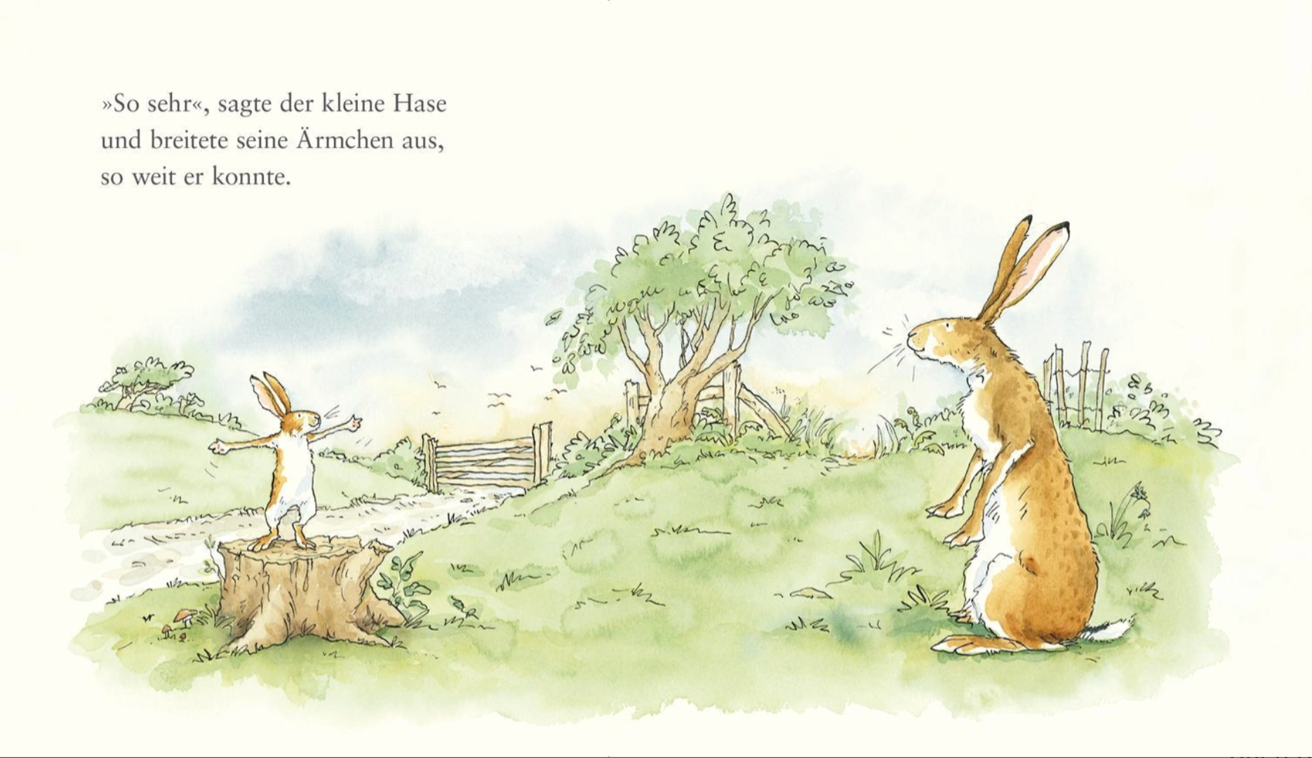 Buch I ha di weisch wie gärn
