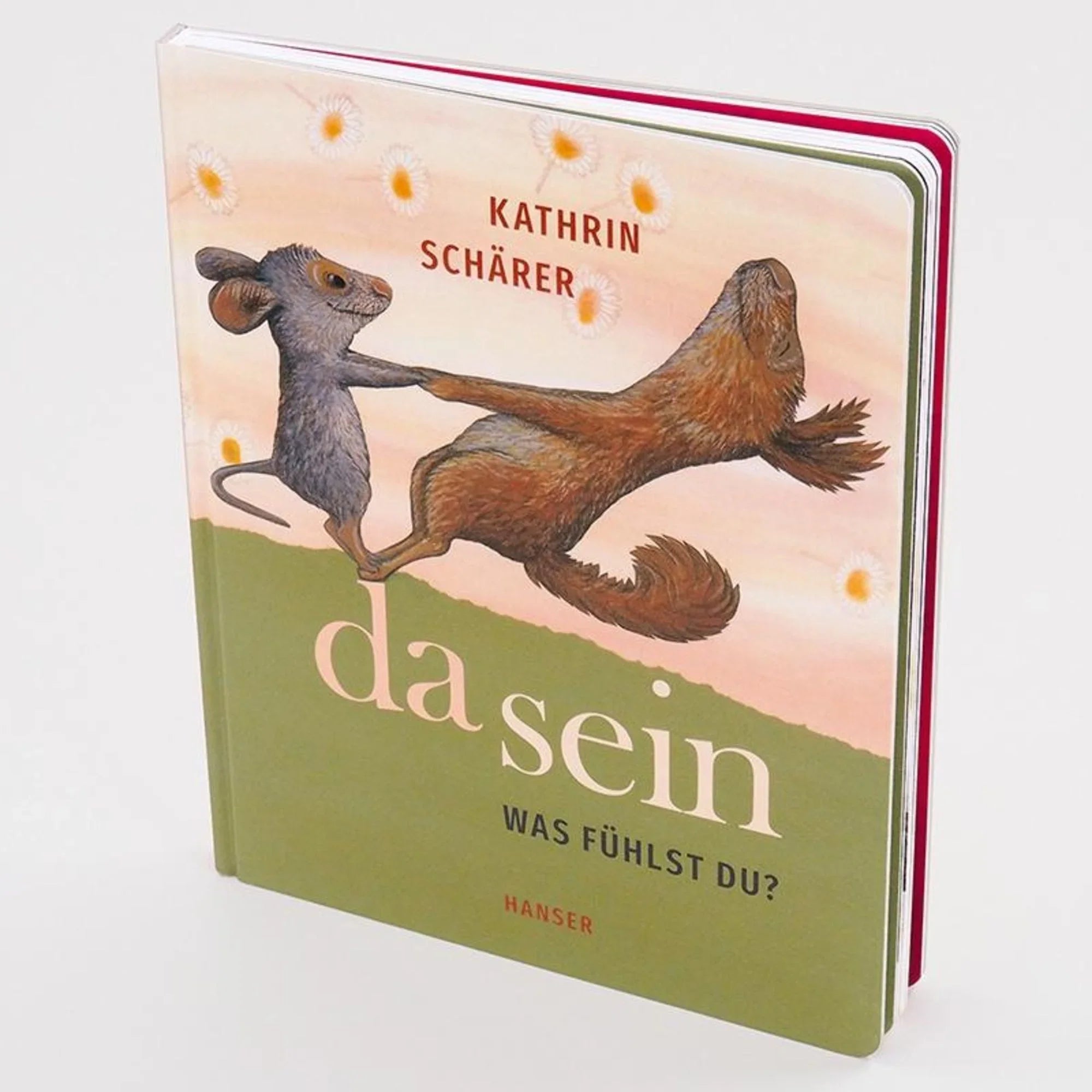 Buch Da sein