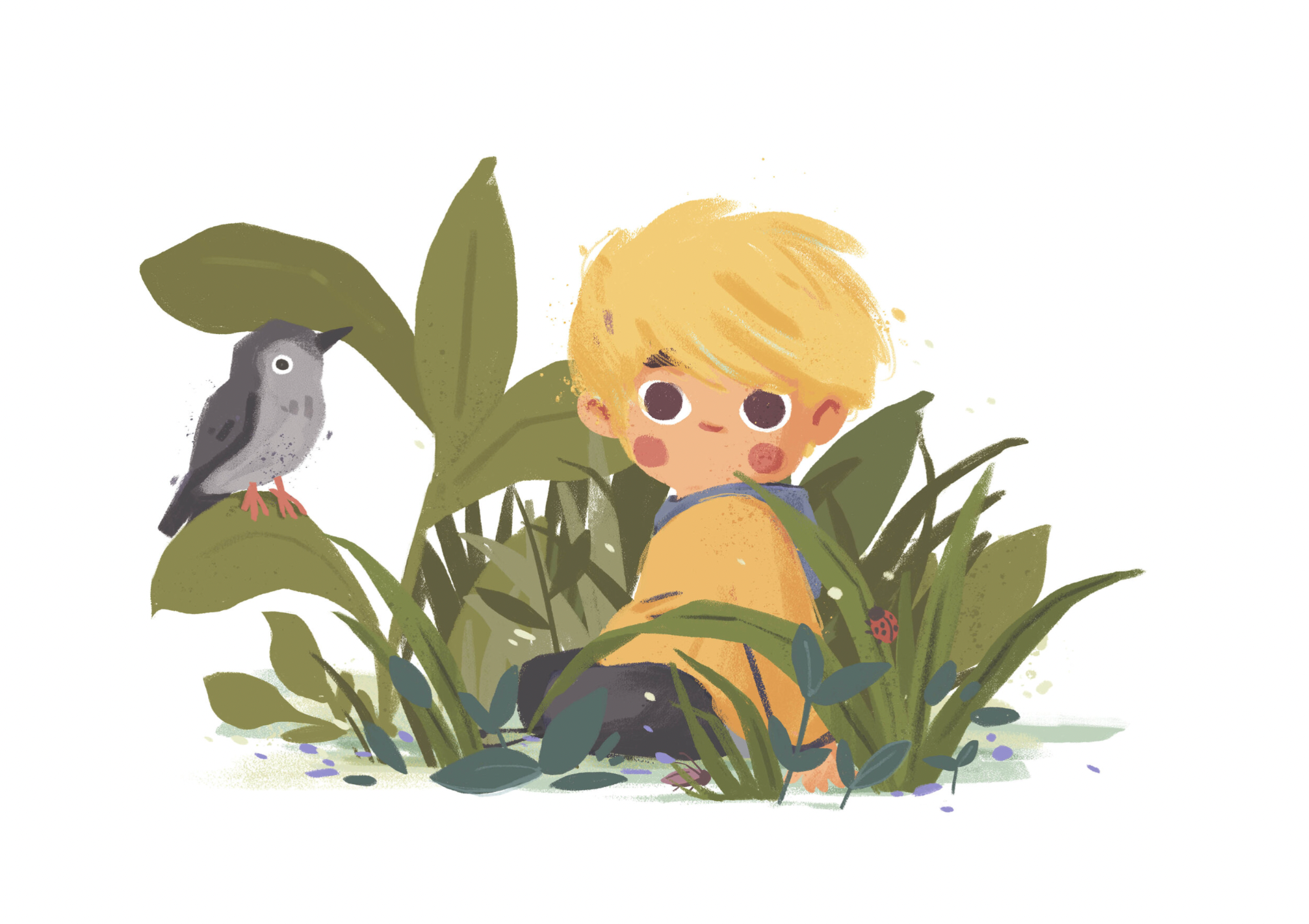 Buch Sensibeli