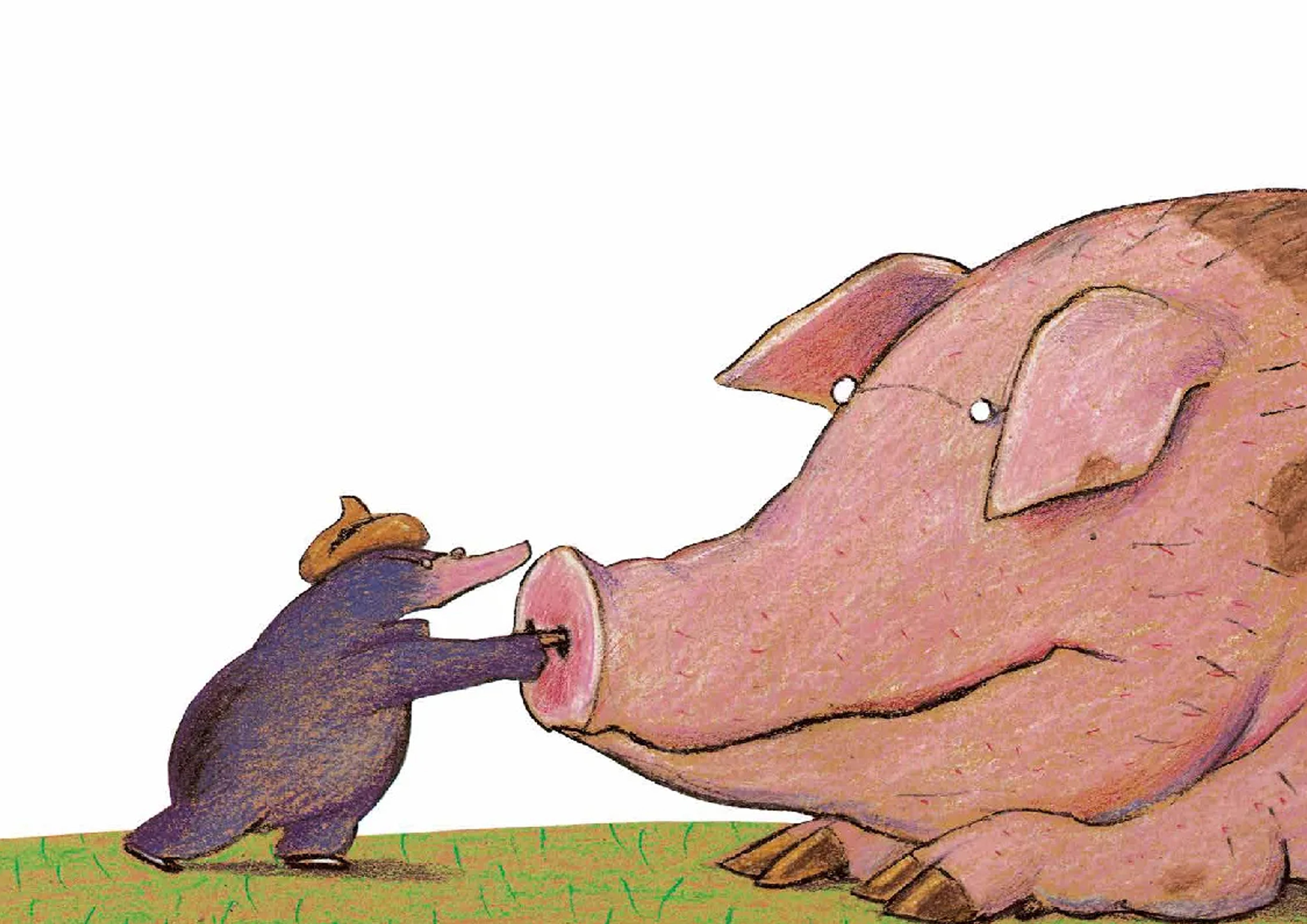 Buch Vom kleinen Maulwurf
