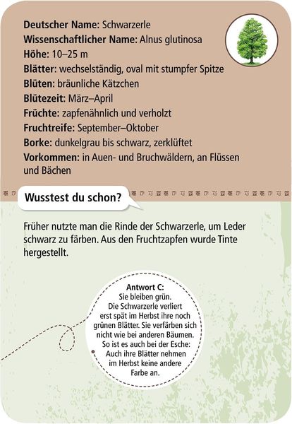 50 heimische Bäume
