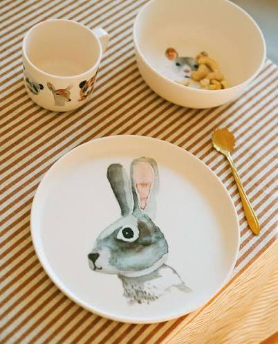 Teller Hase