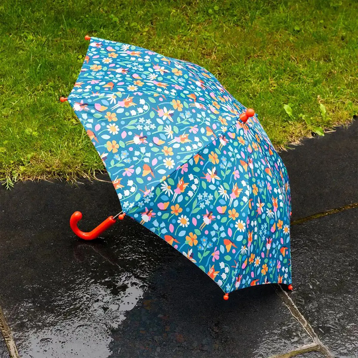 Regenschirme