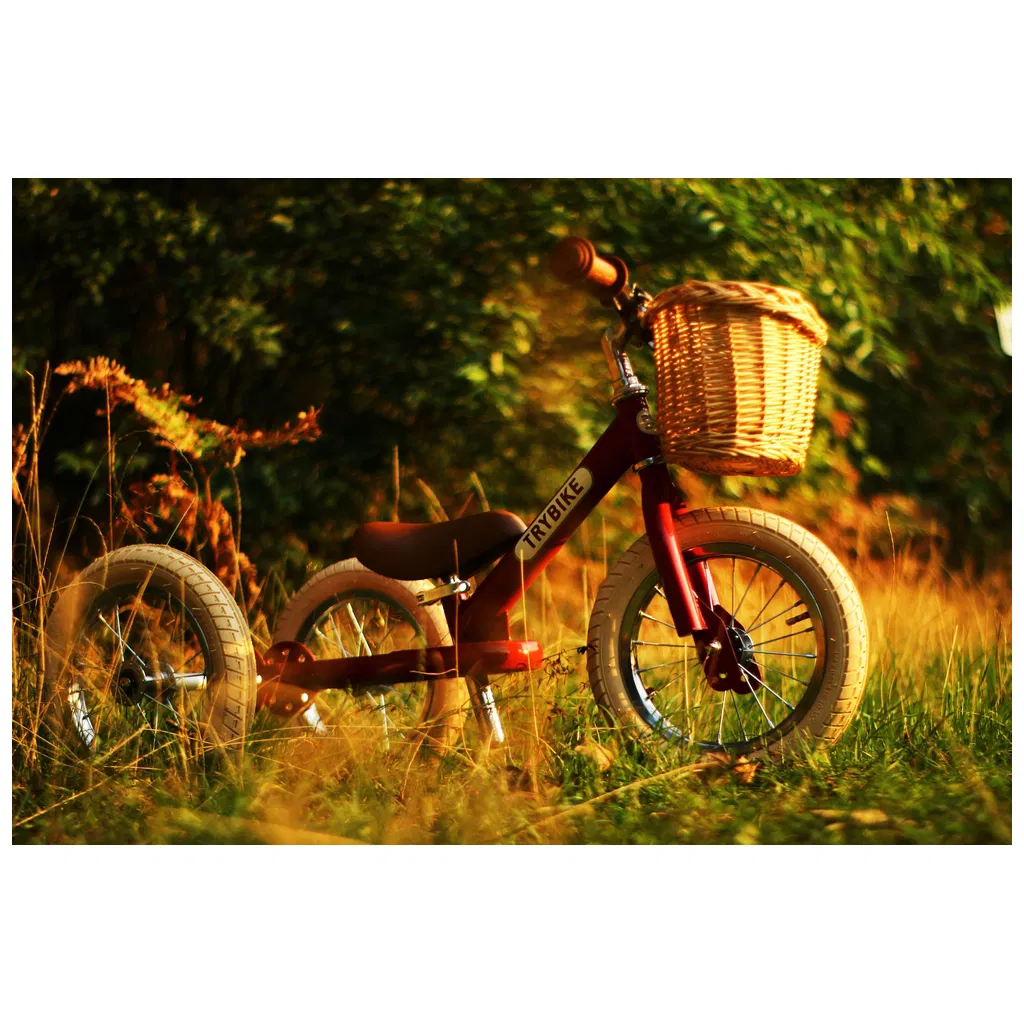 Fahrradkorb