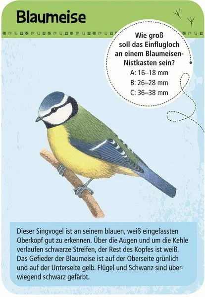 50 heimische Vögel