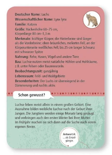 50 heimische Wald- & Wildtiere
