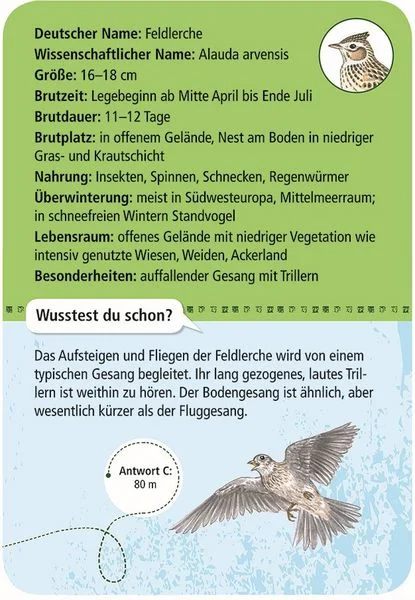 50 heimische Vögel