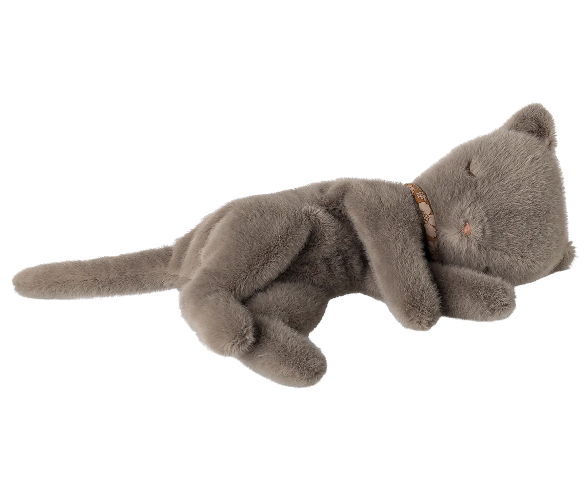 Schlafendes Kätzchen