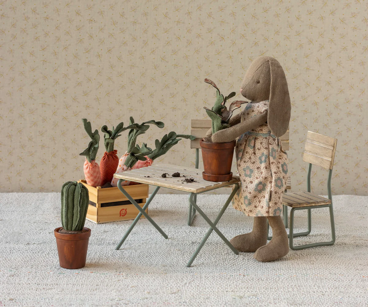 Blumentopf mit Kaktus